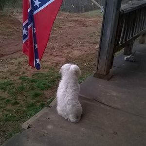 Meet your Posher, Debbie